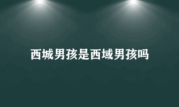 西城男孩是西域男孩吗
