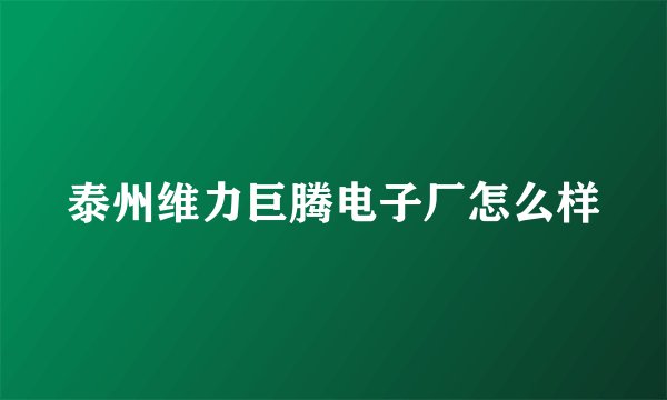 泰州维力巨腾电子厂怎么样