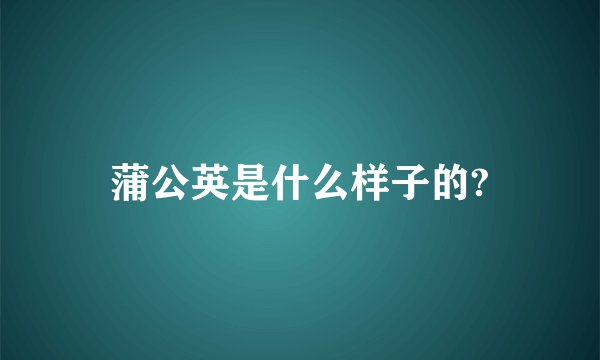 蒲公英是什么样子的?