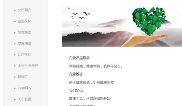 百乐思是一家什么样的公司？