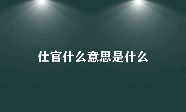 仕官什么意思是什么