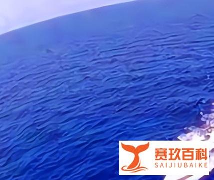 2025大陆赴港生子攻略：香港生子流程复杂，香港分娩需提前预约