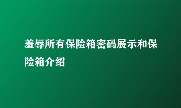 羞辱所有保险箱密码展示和保险箱介绍