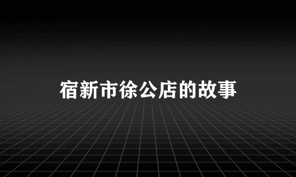 宿新市徐公店的故事