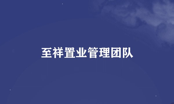 至祥置业管理团队