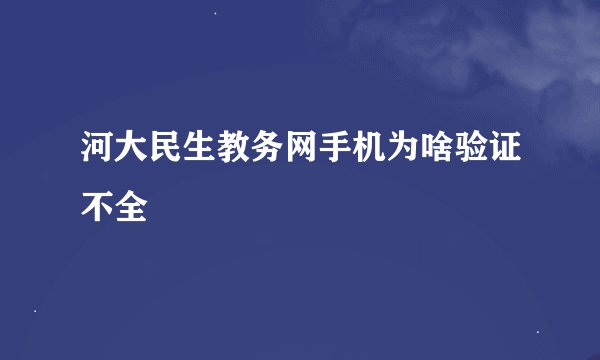 河大民生教务网手机为啥验证不全