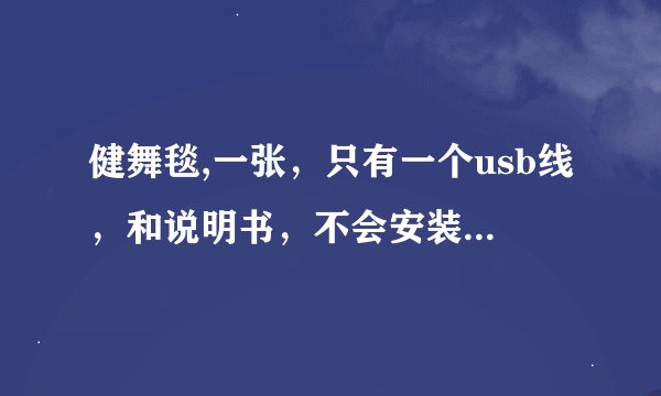 健舞毯,一张，只有一个usb线，和说明书，不会安装不会用，求指点
