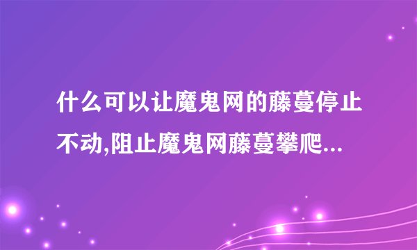 什么可以让魔鬼网的藤蔓停止不动,阻止魔鬼网藤蔓攀爬的有效方法