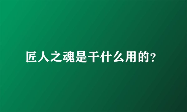 匠人之魂是干什么用的？