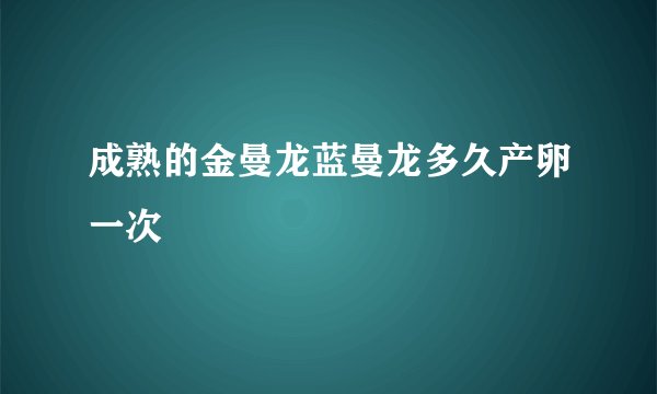成熟的金曼龙蓝曼龙多久产卵一次