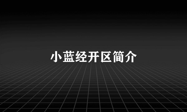 小蓝经开区简介