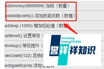 巫师3代码怎么输入？