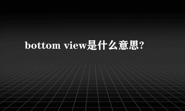 bottom view是什么意思?