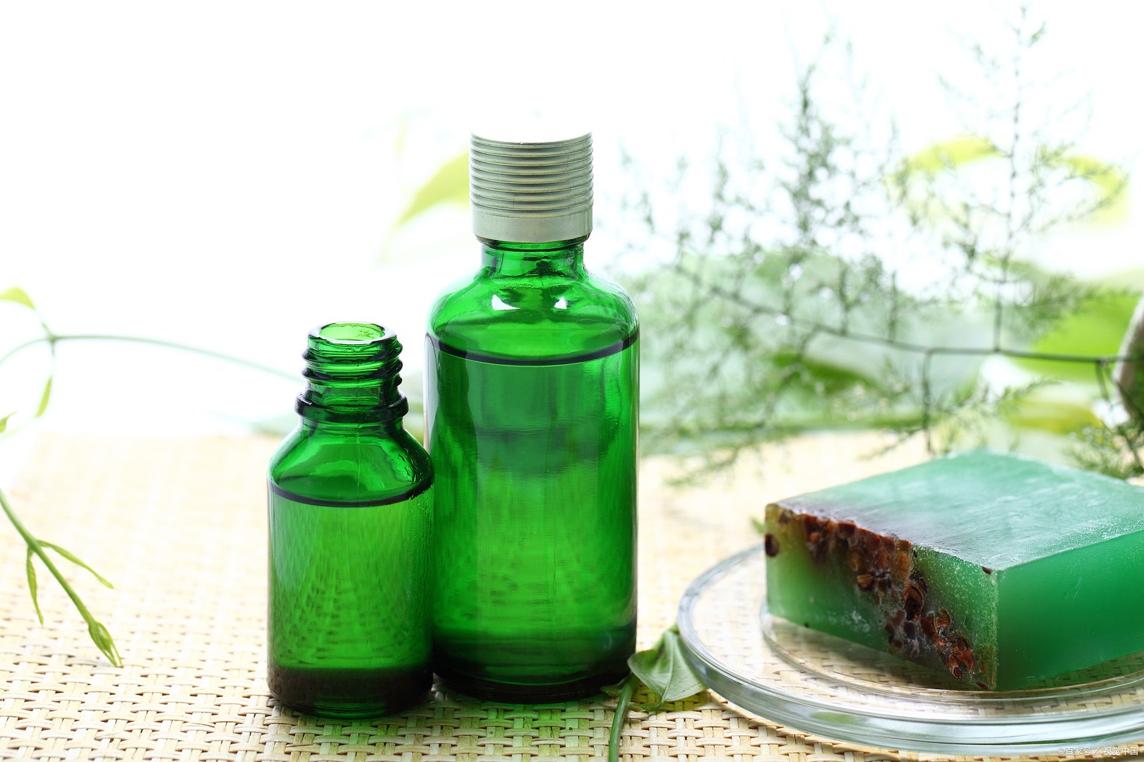 the body shop茶树精油怎么样?这款精油好用吗?