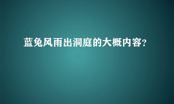 蓝兔风雨出洞庭的大概内容？