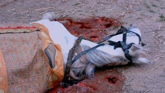 穆公赏赐柳林酒，300死士解重围，人生最后拼的都是人品！