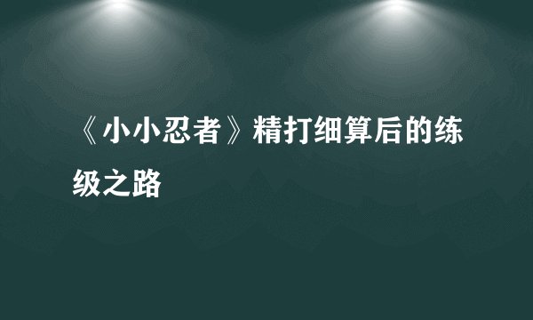 《小小忍者》精打细算后的练级之路