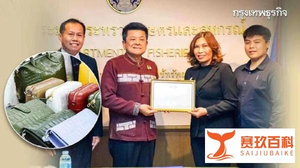 新商机？泰国可以养殖用于商业用途的鳄鱼和巨型鲶鱼啦！
