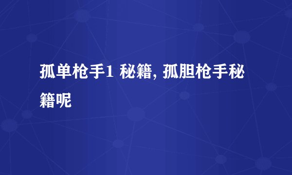 孤单枪手1 秘籍, 孤胆枪手秘籍呢
