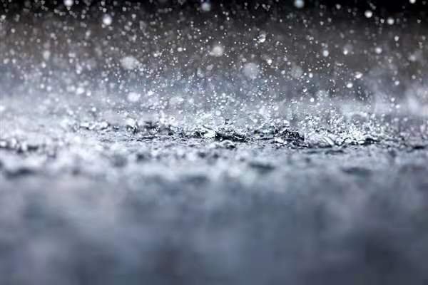 河北暴雨街头成河,市民抱树自救,当地有关部门采取了哪些应急措施?