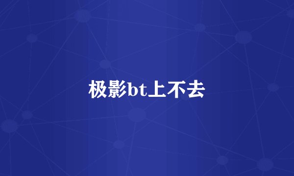 极影bt上不去