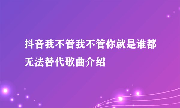 抖音我不管我不管你就是谁都无法替代歌曲介绍