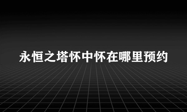 永恒之塔怀中怀在哪里预约