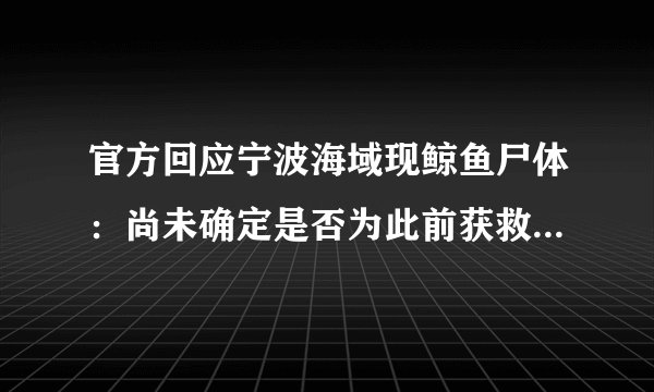 官方回应宁波海域现鲸鱼尸体：尚未确定是否为此前获救的抹香鲸