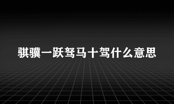 骐骥一跃驽马十驾什么意思