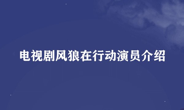电视剧风狼在行动演员介绍