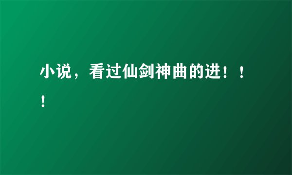 小说，看过仙剑神曲的进！！！