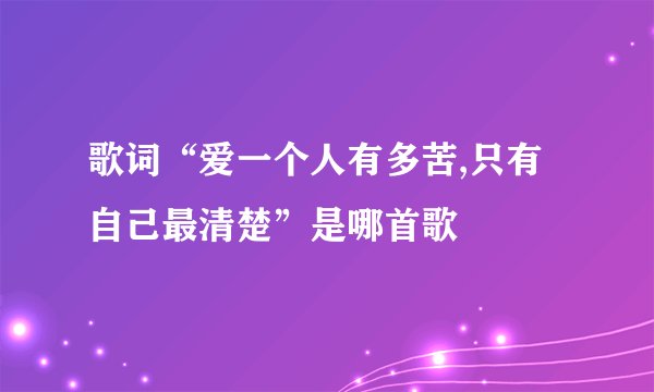 歌词“爱一个人有多苦,只有自己最清楚”是哪首歌