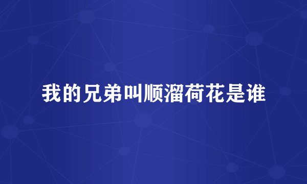 我的兄弟叫顺溜荷花是谁