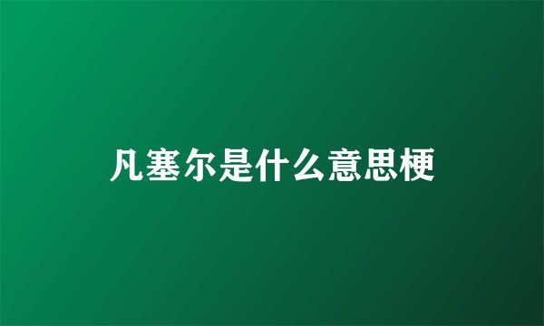 凡塞尔是什么意思梗