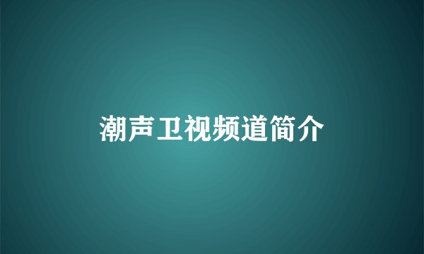 潮声卫视频道简介