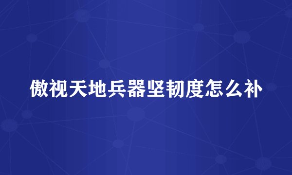 傲视天地兵器坚韧度怎么补