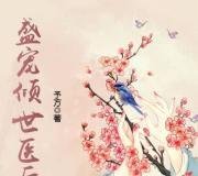 《盛宠倾世医后》txt主角叶蓁,慕容湛by予方