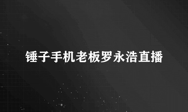 锤子手机老板罗永浩直播