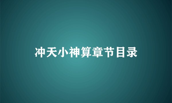 冲天小神算章节目录