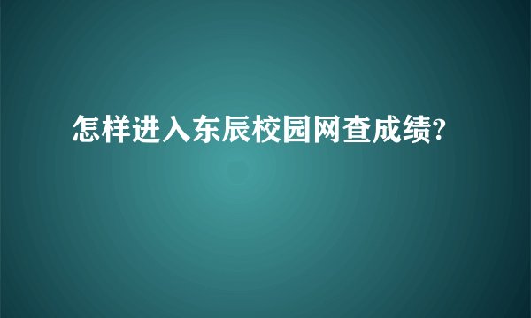 怎样进入东辰校园网查成绩?