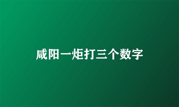 咸阳一炬打三个数字