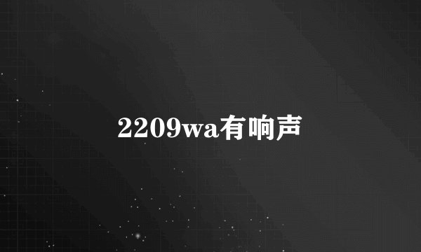 2209wa有响声