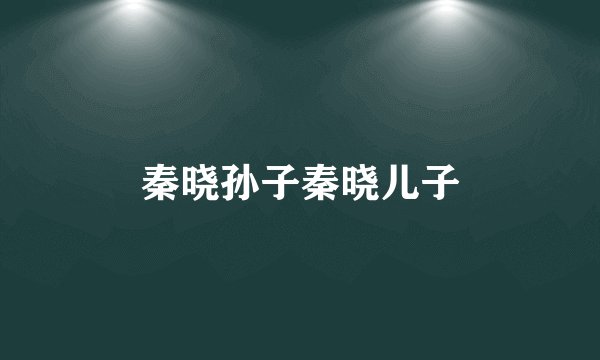 秦晓孙子秦晓儿子