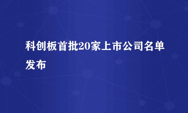 科创板首批20家上市公司名单发布