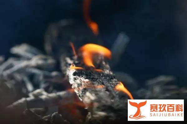女子开车擦泪撞人嵌进广告牌;苹果电动车2019年发布续航达500公里|车腥闻