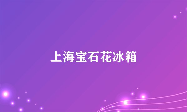 上海宝石花冰箱