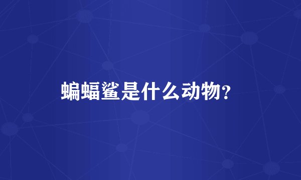 蝙蝠鲨是什么动物?