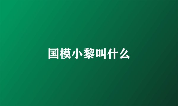 国模小黎叫什么