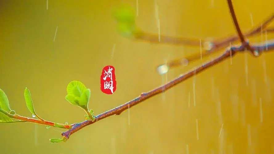 幼儿园清明节美篇主题名称