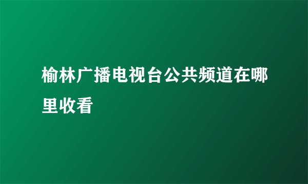 榆林广播电视台公共频道在哪里收看